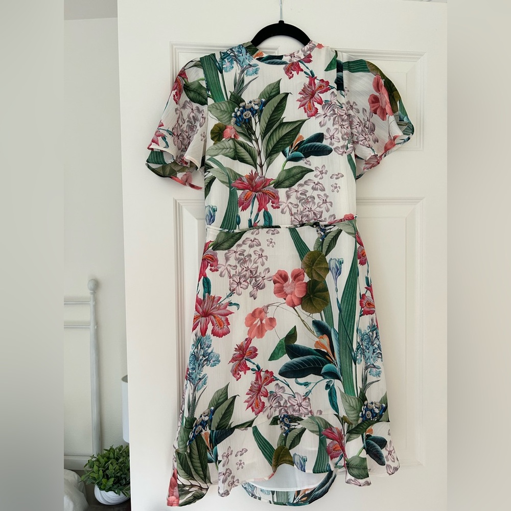 Multi Color Print Oasis Dress